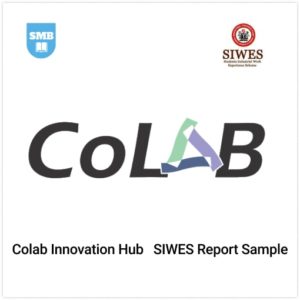 COLAB Innovation Hub SIWES Report Sample